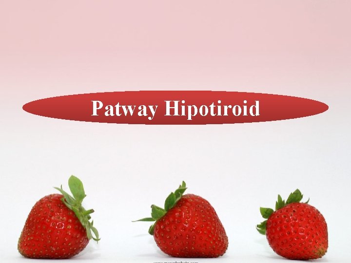 Patway Hipotiroid 