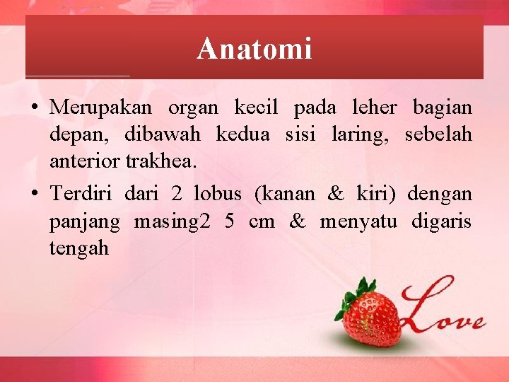 Anatomi • Merupakan organ kecil pada leher depan, dibawah kedua sisi laring, anterior trakhea.