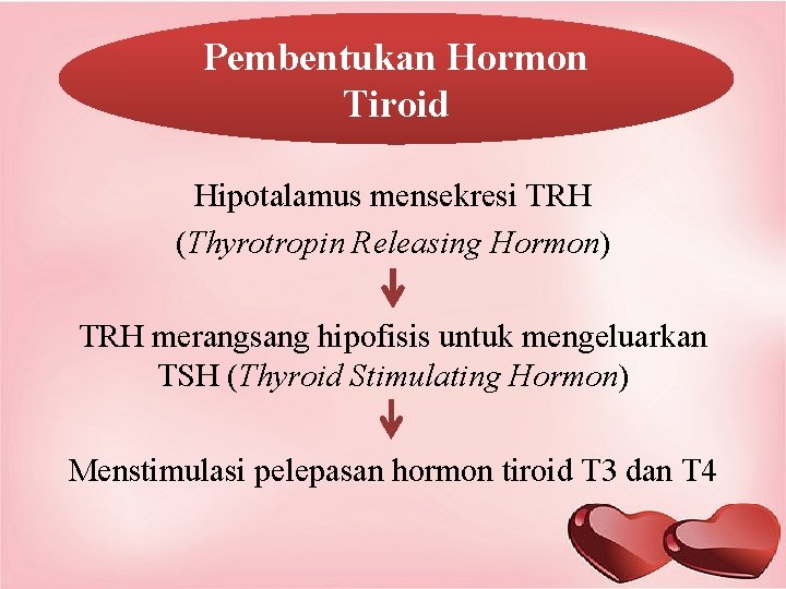 Pembentukan Hormon Tiroid Hipotalamus mensekresi TRH (Thyrotropin Releasing Hormon) TRH merangsang hipofisis untuk mengeluarkan