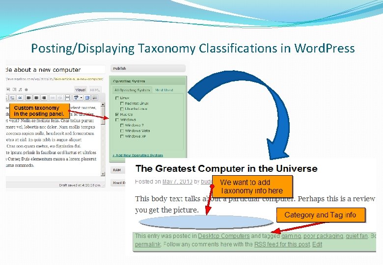 Posting/Displaying Taxonomy Classifications in Word. Press 