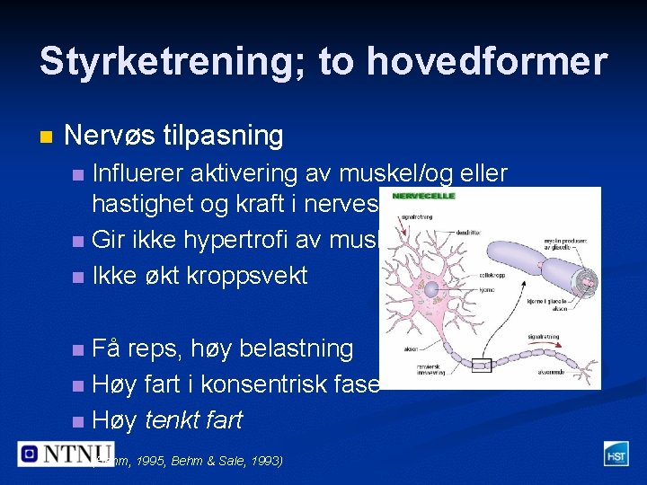 Styrketrening; to hovedformer n Nervøs tilpasning Influerer aktivering av muskel/og eller hastighet og kraft