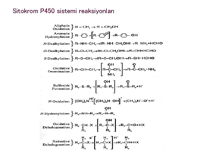 Sitokrom P 450 sistemi reaksiyonları 