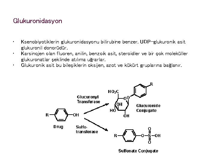 Glukuronidasyon • • • Ksenobiyotiklerin glukuronidasyonu bilirubine benzer. UDP-glukuronik asit glukuronil donorüdür. Karsinojen olan