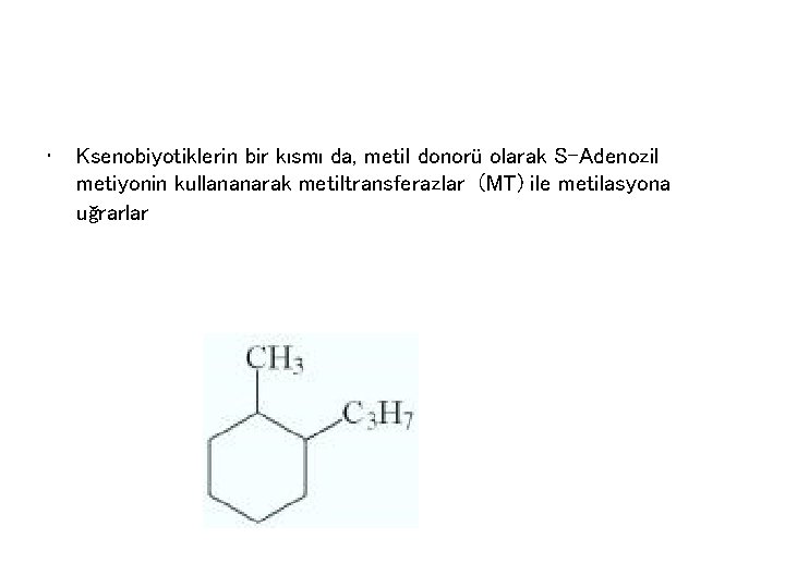  • Ksenobiyotiklerin bir kısmı da, metil donorü olarak S-Adenozil metiyonin kullananarak metiltransferazlar (MT)