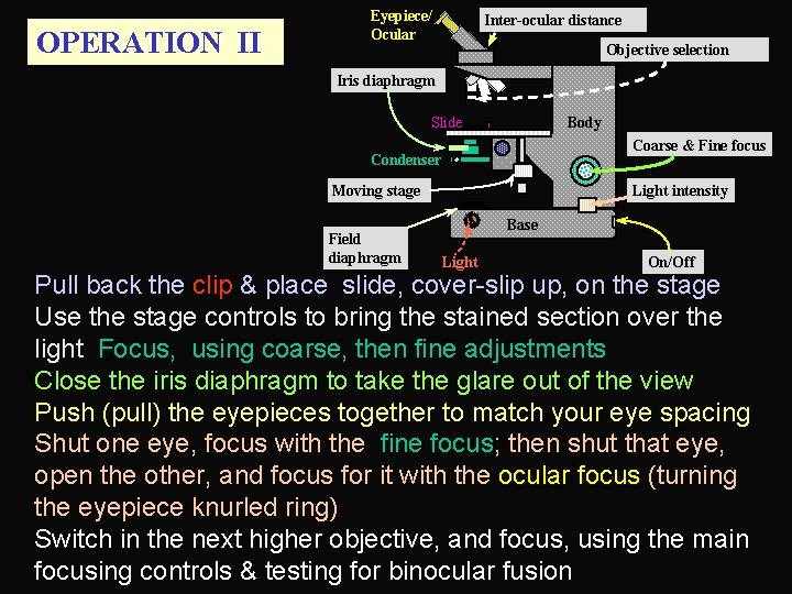 OPERATION II Eyepiece/ Ocular Inter-ocular distance Objective selection Iris diaphragm Slide Body Coarse &
