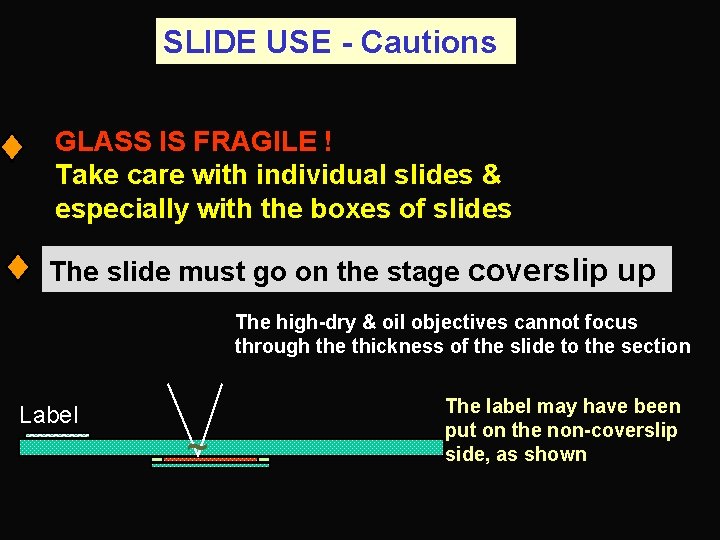 SLIDE USE - Cautions GLASS IS FRAGILE ! Take care with individual slides &