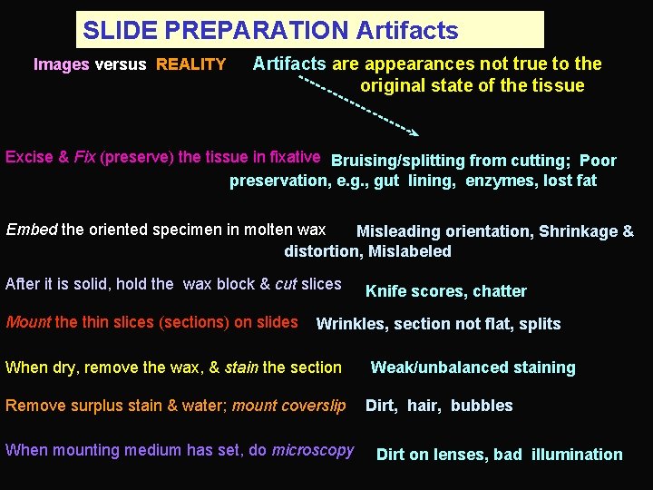 SLIDE PREPARATION Artifacts Images versus REALITY Artifacts are appearances not true to the original