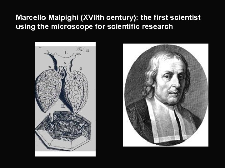 Marcello Malpighi (XVIIth century): the first scientist using the microscope for scientific research 