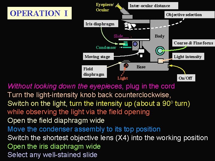 OPERATION I Eyepiece/ Ocular Inter-ocular distance Objective selection Iris diaphragm Slide Body Coarse &