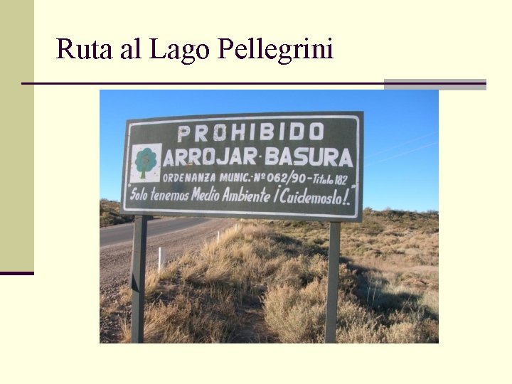 Ruta al Lago Pellegrini 