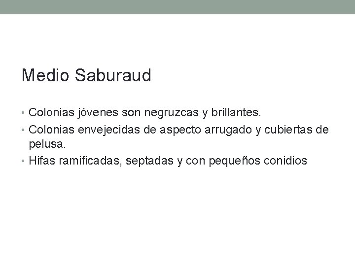 Medio Saburaud • Colonias jóvenes son negruzcas y brillantes. • Colonias envejecidas de aspecto