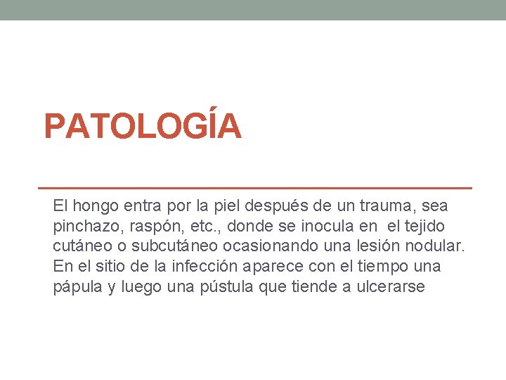 PATOLOGÍA El hongo entra por la piel después de un trauma, sea pinchazo, raspón,