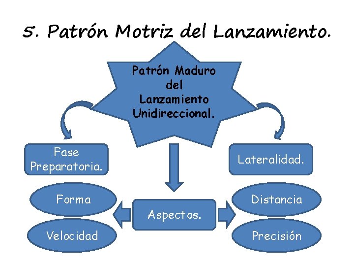5. Patrón Motriz del Lanzamiento. Patrón Maduro del Lanzamiento Unidireccional. Fase Preparatoria. Forma Velocidad