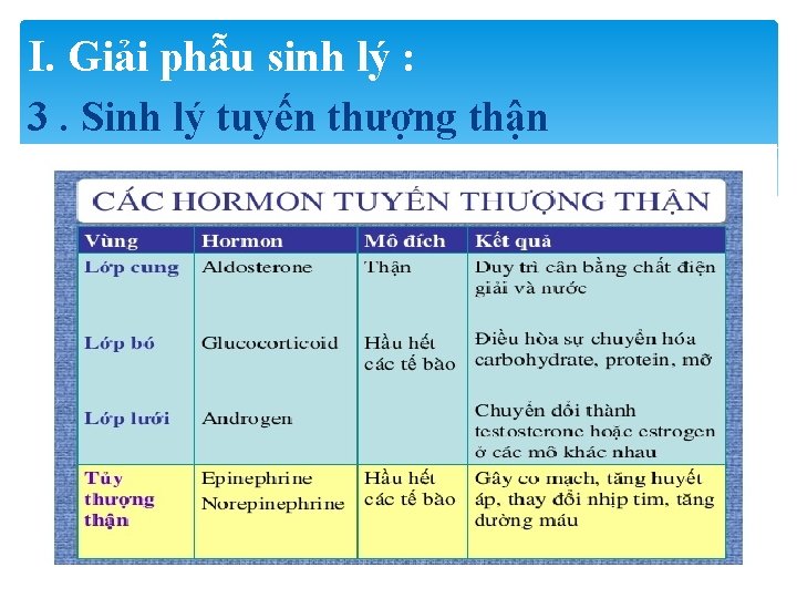 I. Giải phẫu sinh lý : 3. Sinh lý tuyến thượng thận 