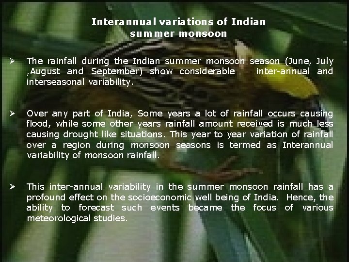 Interannual variations of Indian summer monsoon Ø The rainfall during the Indian summer monsoon