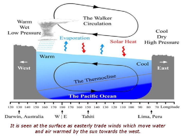 It is seen at the surface as easterly trade winds which move water and