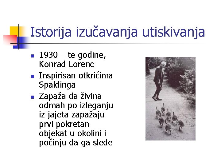 Istorija izučavanja utiskivanja n n n 1930 – te godine, Konrad Lorenc Inspirisan otkrićima