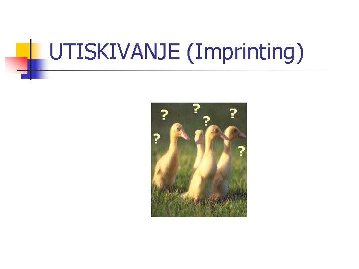 UTISKIVANJE (Imprinting) 