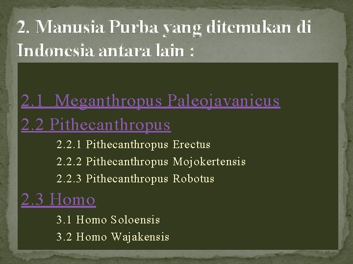 2. Manusia Purba yang ditemukan di Indonesia antara lain : 2. 1 Meganthropus Paleojavanicus