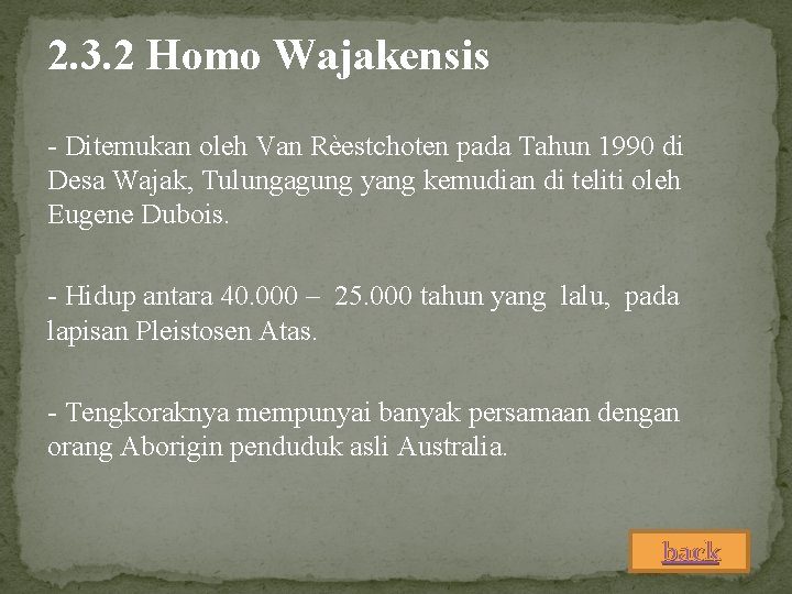 2. 3. 2 Homo Wajakensis - Ditemukan oleh Van Rèestchoten pada Tahun 1990 di