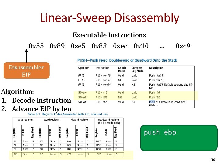 Linear-Sweep Disassembly Executable Instructions 0 x 55 0 x 89 0 xe 5 0