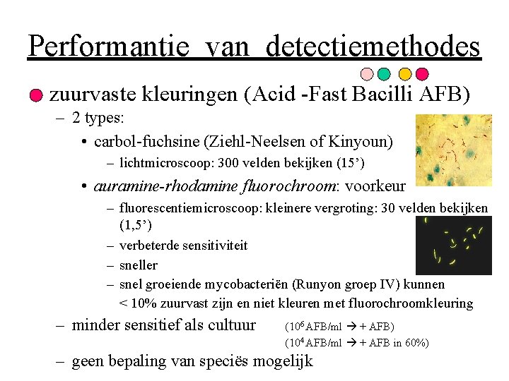 Performantie van detectiemethodes zuurvaste kleuringen (Acid -Fast Bacilli AFB) – 2 types: • carbol-fuchsine