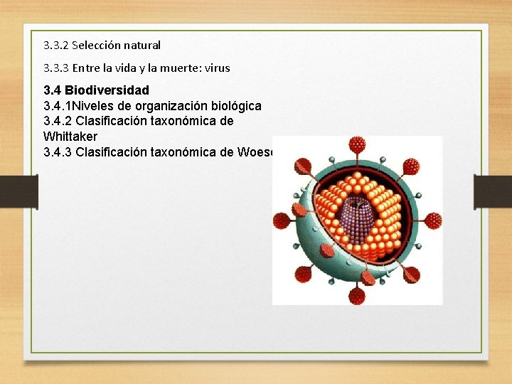 3. 3. 2 Selección natural 3. 3. 3 Entre la vida y la muerte: