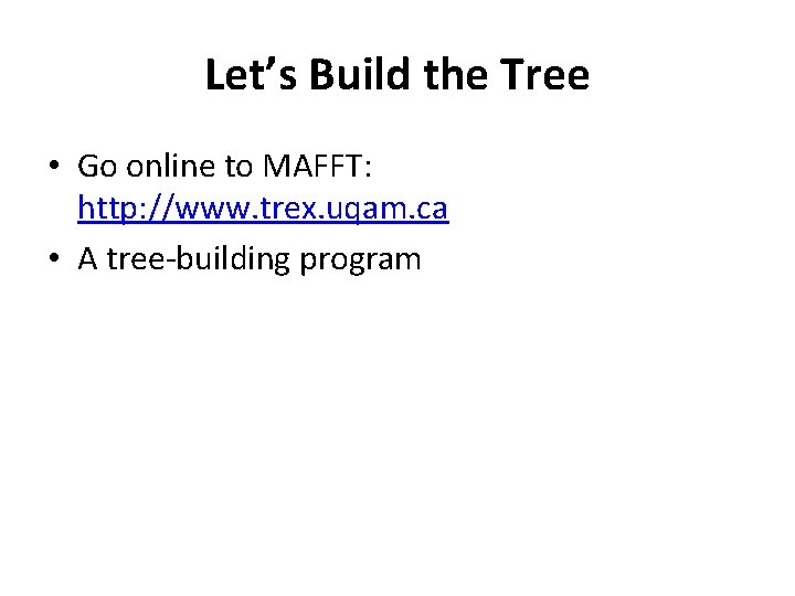 Let’s Build the Tree • Go online to MAFFT: http: //www. trex. uqam. ca