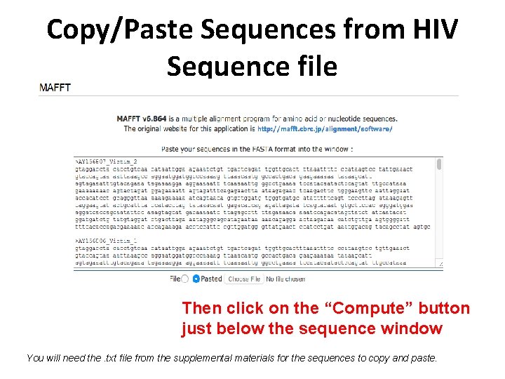 Copy/Paste Sequences from HIV Sequence file Then click on the “Compute” button just below