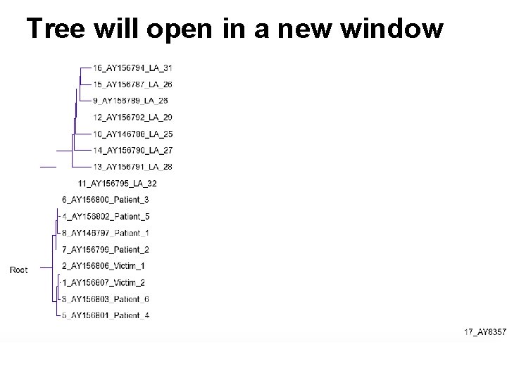 Tree will open in a new window 