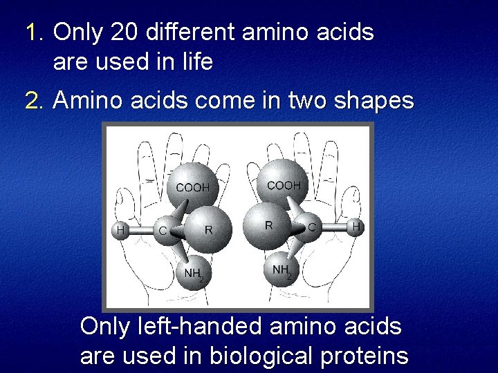 1. Only 20 different amino acids are used in life 2. Amino acids come