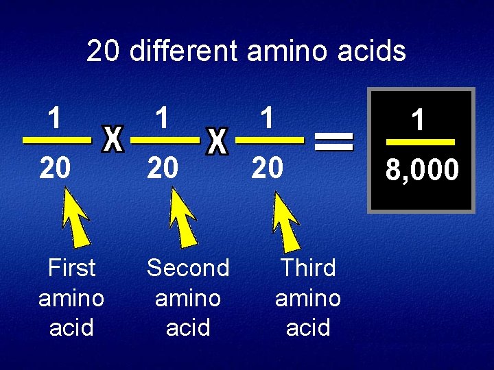 20 different amino acids 1 1 20 20 20 8, 000 First amino acid