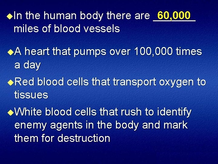 u. In the human body there are _______ 60, 000 miles of blood vessels