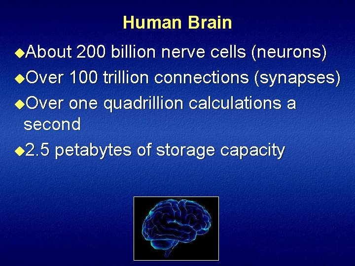 Human Brain u. About 200 billion nerve cells (neurons) u. Over 100 trillion connections