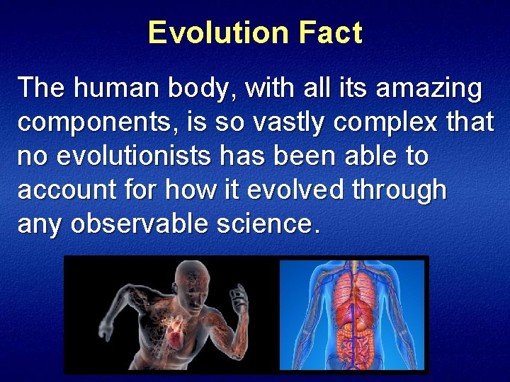 Evolution Fact The human body, with all its amazing components, is so vastly complex