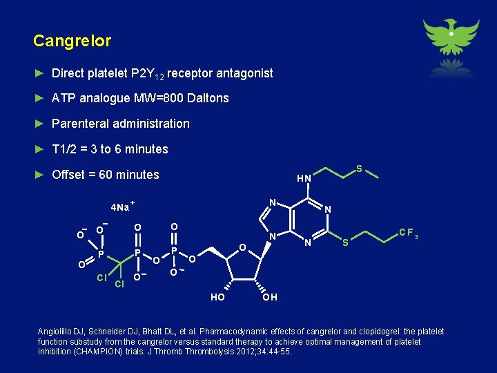 Cangrelor ► Direct platelet P 2 Y 12 receptor antagonist ► ATP analogue MW=800