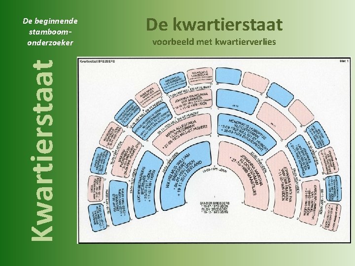 Kwartierstaat De beginnende stamboomonderzoeker De kwartierstaat voorbeeld met kwartierverlies 