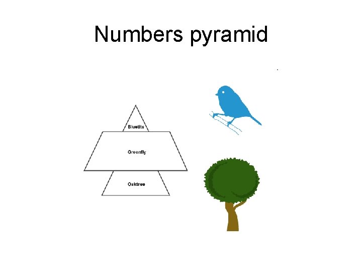 Numbers pyramid 
