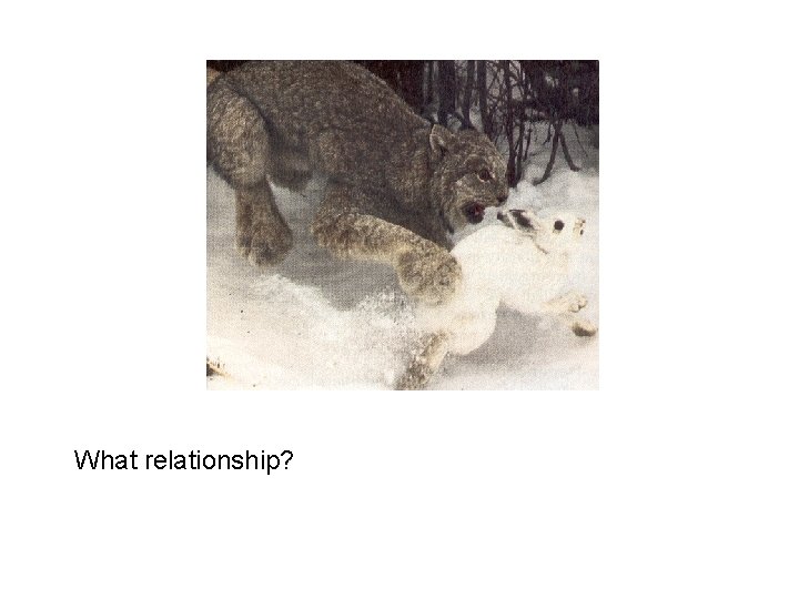 What relationship? 
