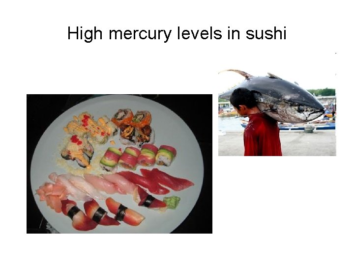 High mercury levels in sushi 