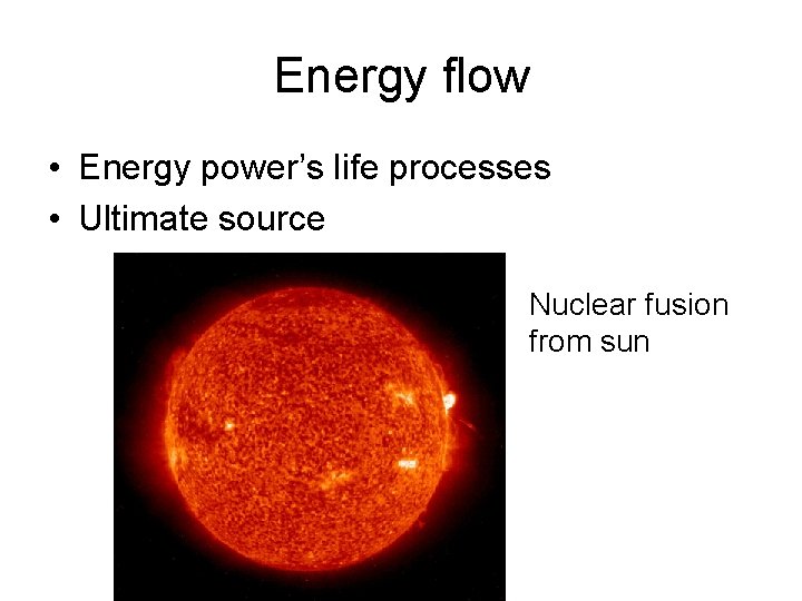 Energy flow • Energy power’s life processes • Ultimate source Nuclear fusion from sun