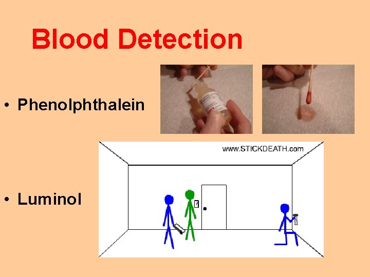 Blood Detection • Phenolphthalein • Luminol 