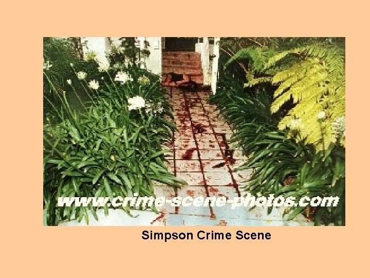 Simpson Crime Scene 