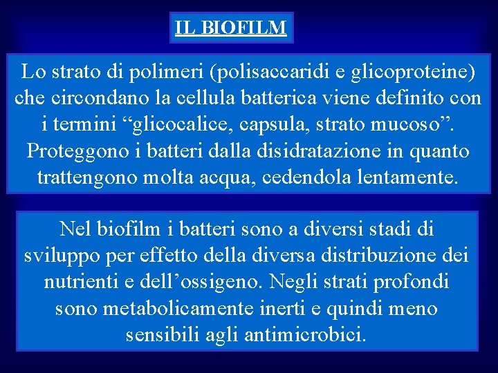 IL BIOFILM Lo strato di polimeri (polisaccaridi e glicoproteine) che circondano la cellula batterica