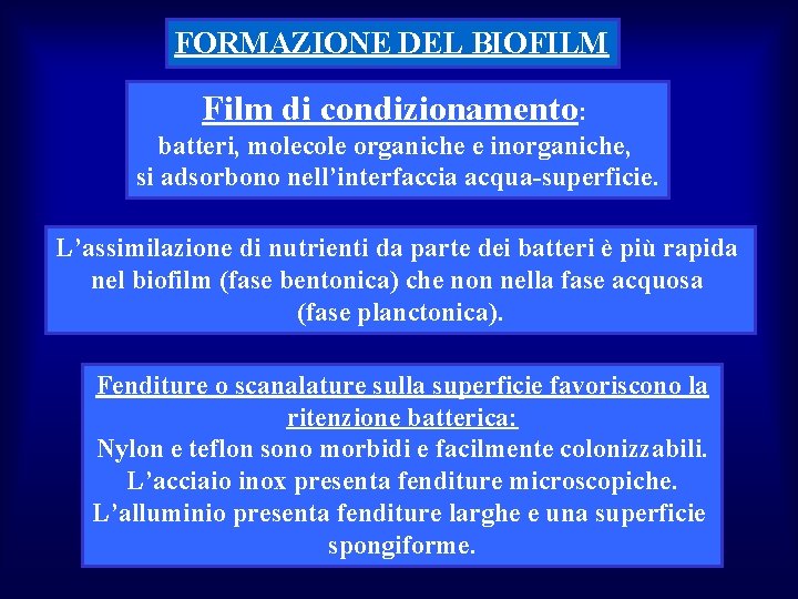 FORMAZIONE DEL BIOFILM Film di condizionamento: batteri, molecole organiche e inorganiche, si adsorbono nell’interfaccia