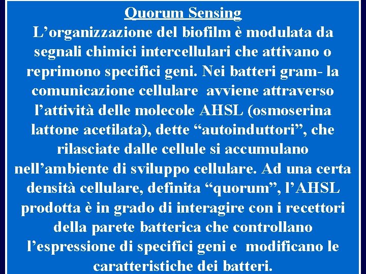 Quorum Sensing L’organizzazione del biofilm è modulata da segnali chimici intercellulari che attivano o