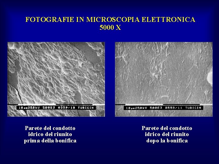 FOTOGRAFIE IN MICROSCOPIA ELETTRONICA 5000 X Parete del condotto idrico del riunito prima della
