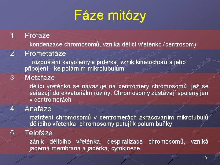 Fáze mitózy 1. Profáze kondenzace chromosomů, vzniká dělící vřeténko (centrosom) 2. Prometafáze rozpuštění karyolemy