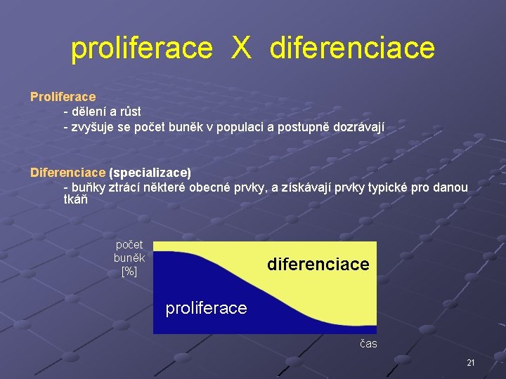 proliferace X diferenciace Proliferace - dělení a růst - zvyšuje se počet buněk v