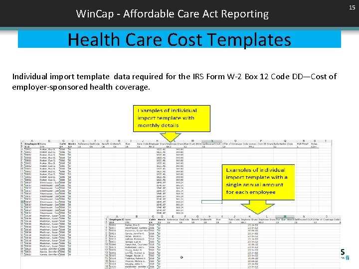 Win. Cap - Affordable Care Act Reporting Health Care Cost Templates Individual import template